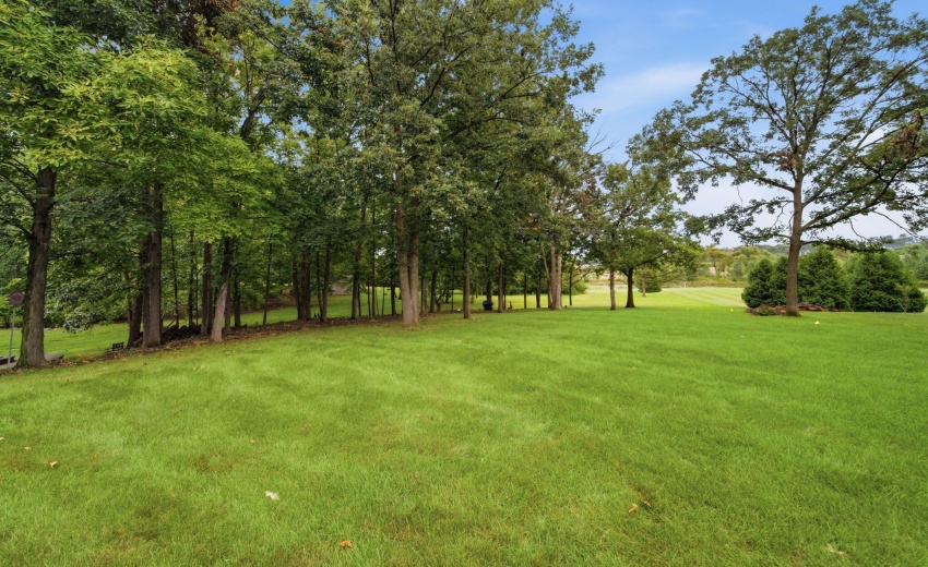 10-web-or-mls-DSC09691