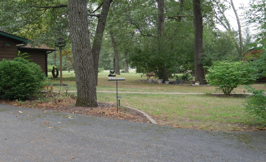 Side Yard