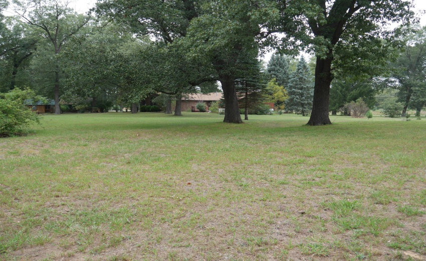 Back of Home 3