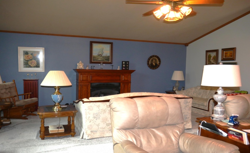 Living Room Fireplace