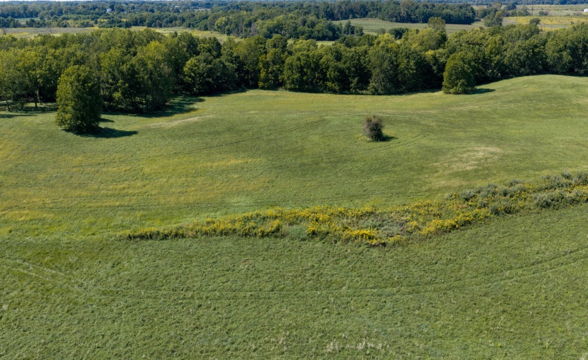 DJI_20260911132226_0023_D