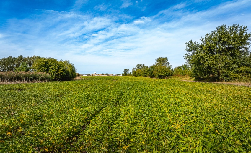 Zanolettie_Land_Portage-005