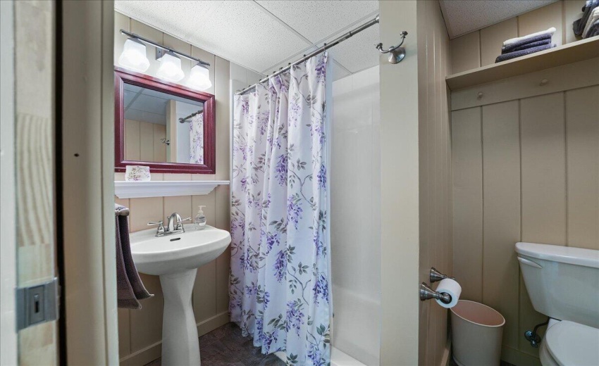 Basement Bathroom