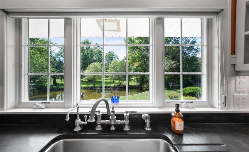 Pond View