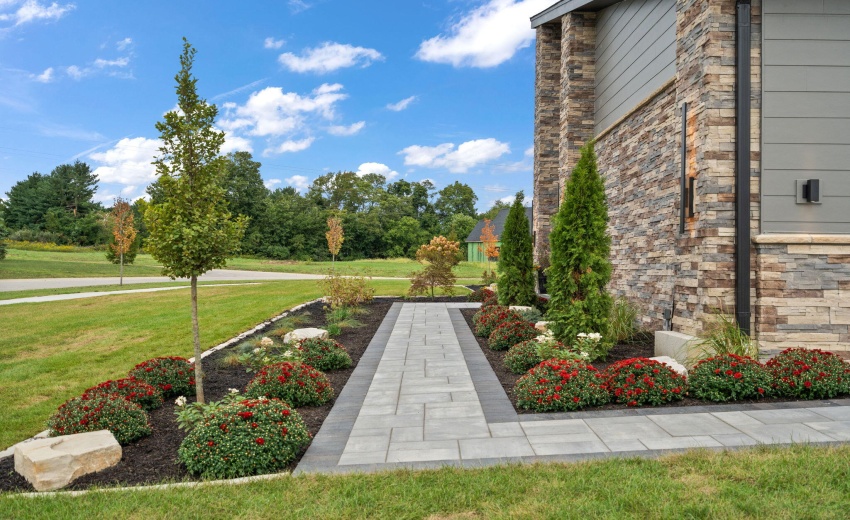 69-web-or-mls-DSC05011