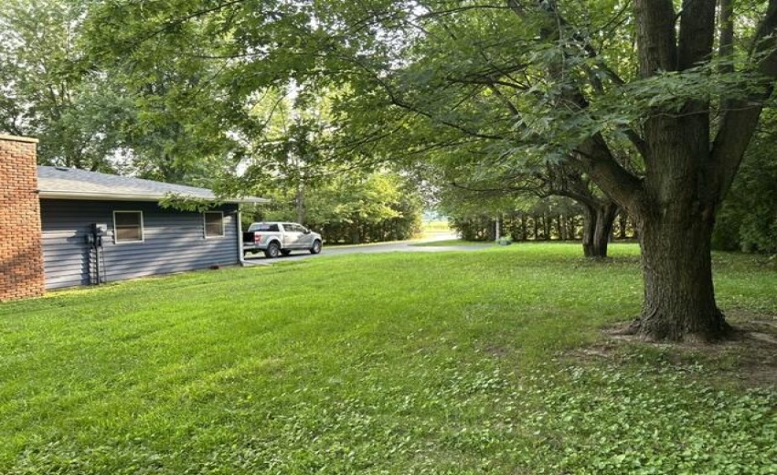 image4