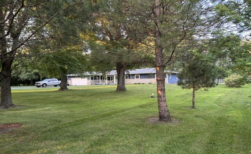 image8