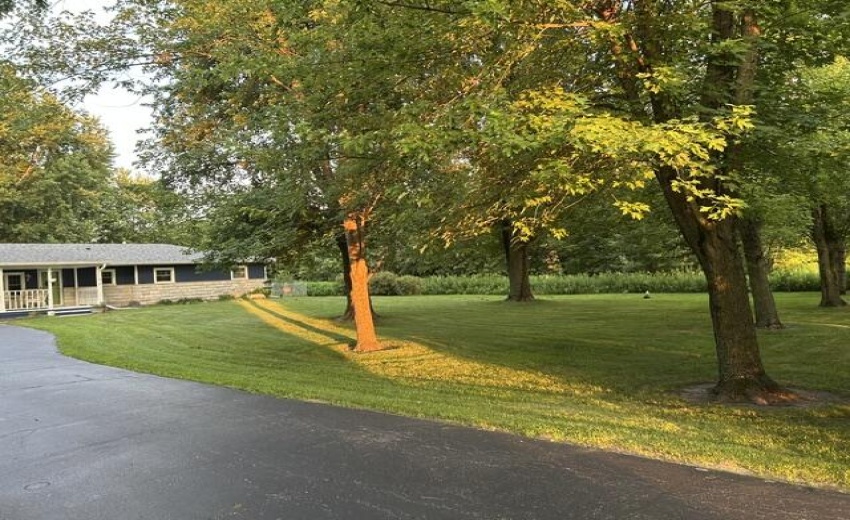 image10