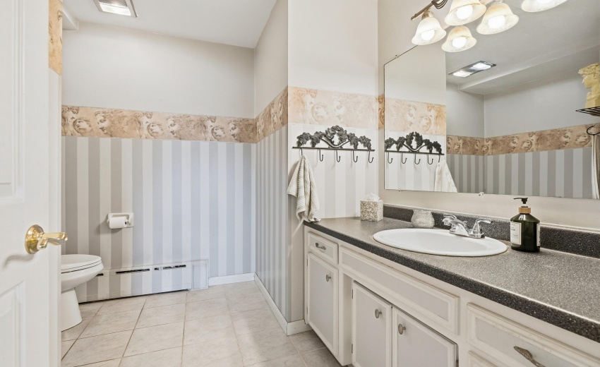 lower level bathroom