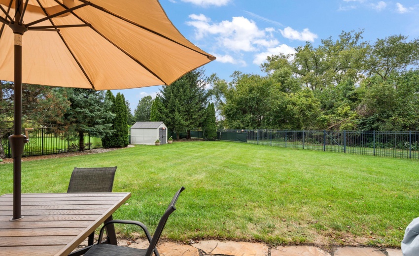 50-web-or-mls-DSC06493