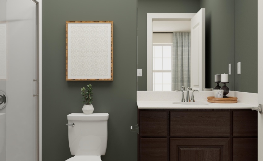Owner's Bathroom