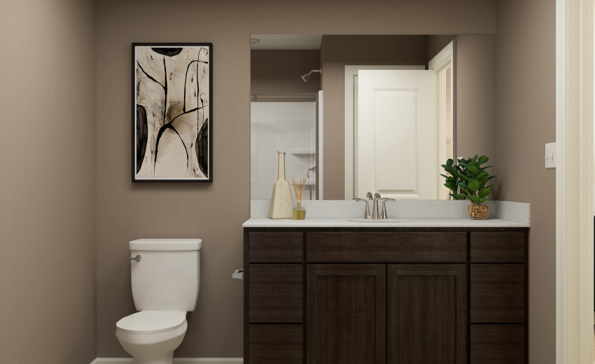 Owner's Bath