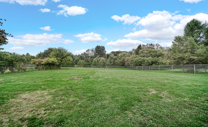 Fenced backyard