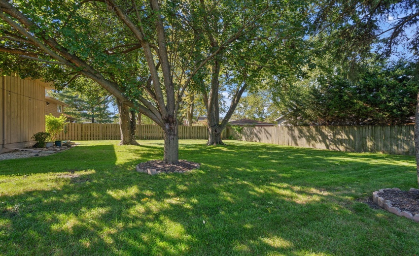 37-web-or-mls-DSC09914