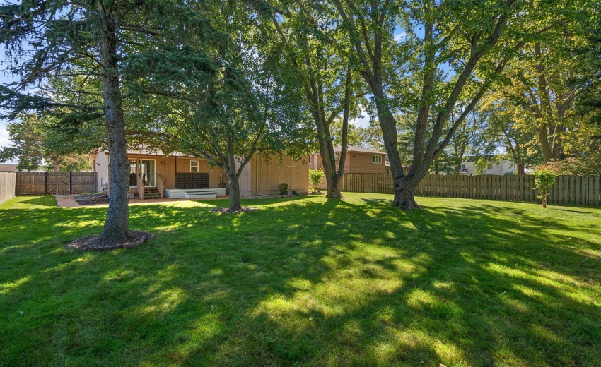38-web-or-mls-DSC09917