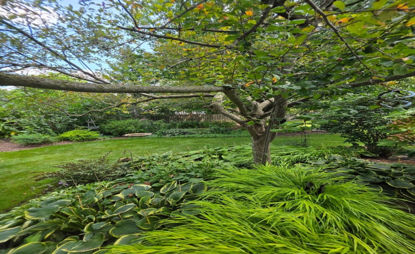 yard
