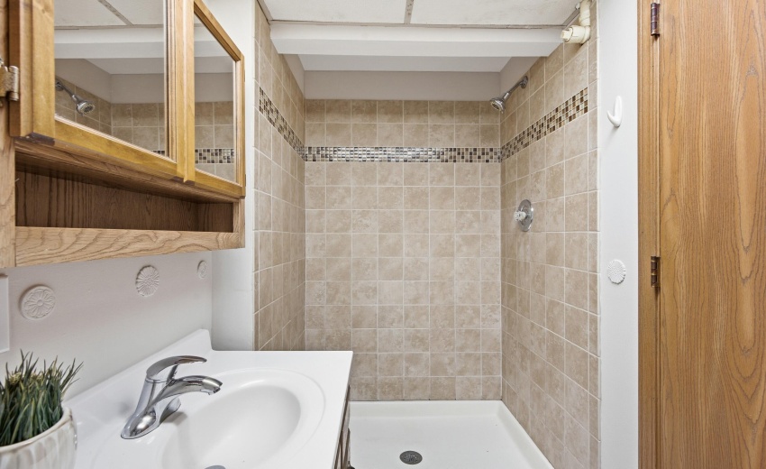 Lower Level Bath