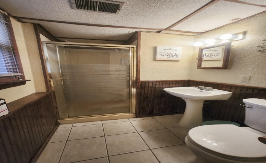 lower level bathroom
