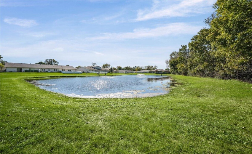 Pond view Kleinman -2