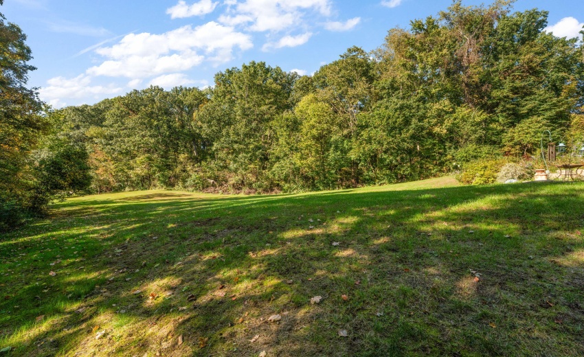49-web-or-mls-DSC06078