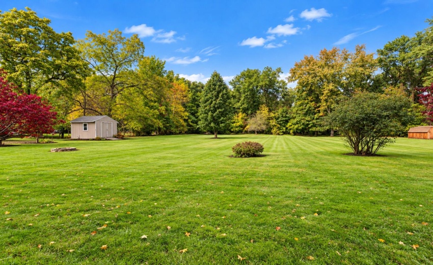 Backyard View 1