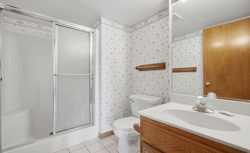 lower level bathroom