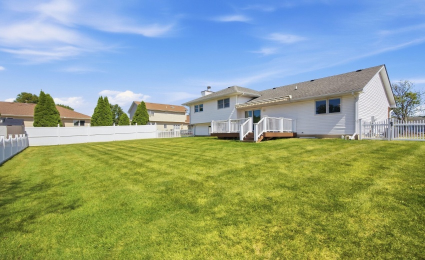 back yard
