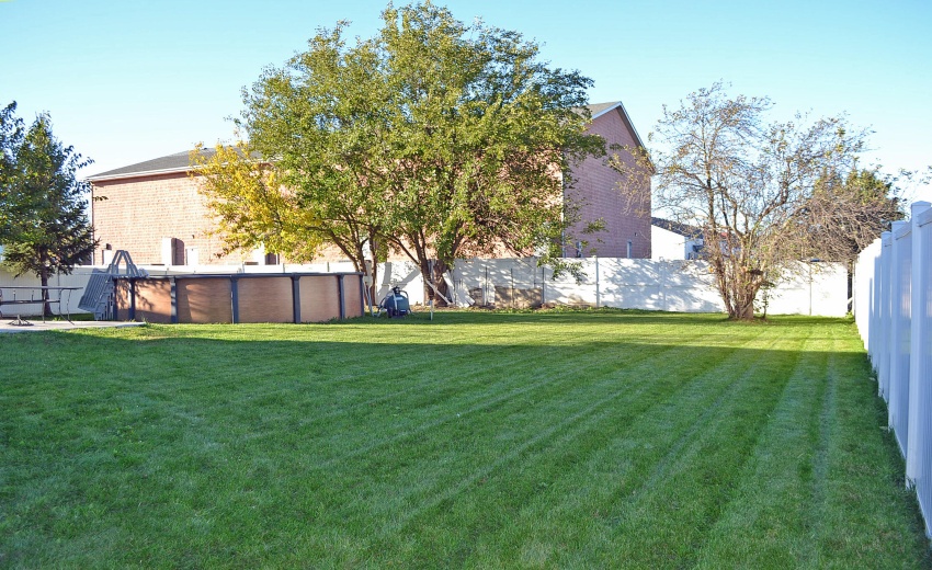 backyard fenced