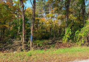 0 600, Knox, Indiana, ,Land,For Sale,600,NRA847315