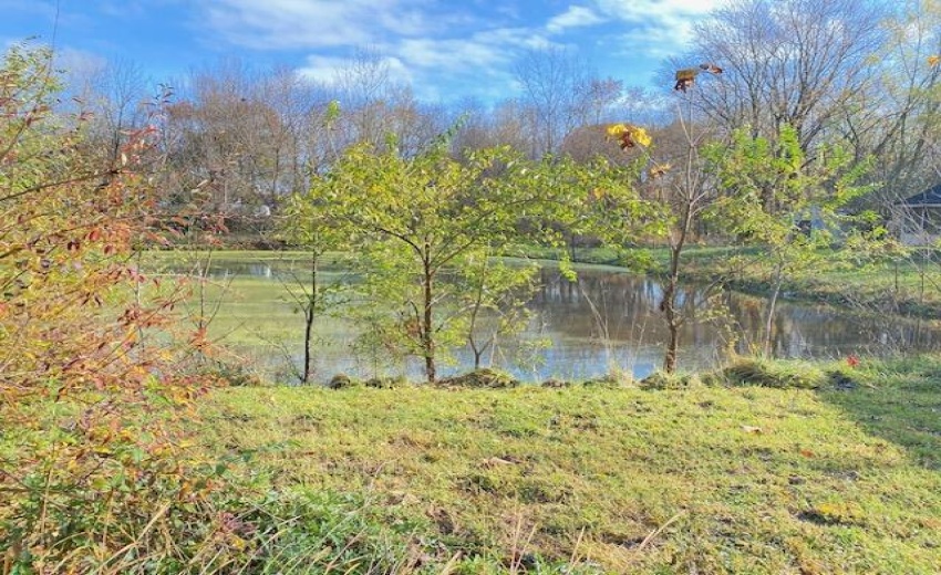 Fall Pond View