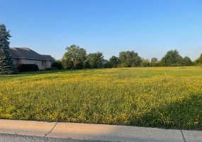 1606 Chalone Court, Crown Point, Indiana, ,Land,For Sale,Chalone,NRA533743