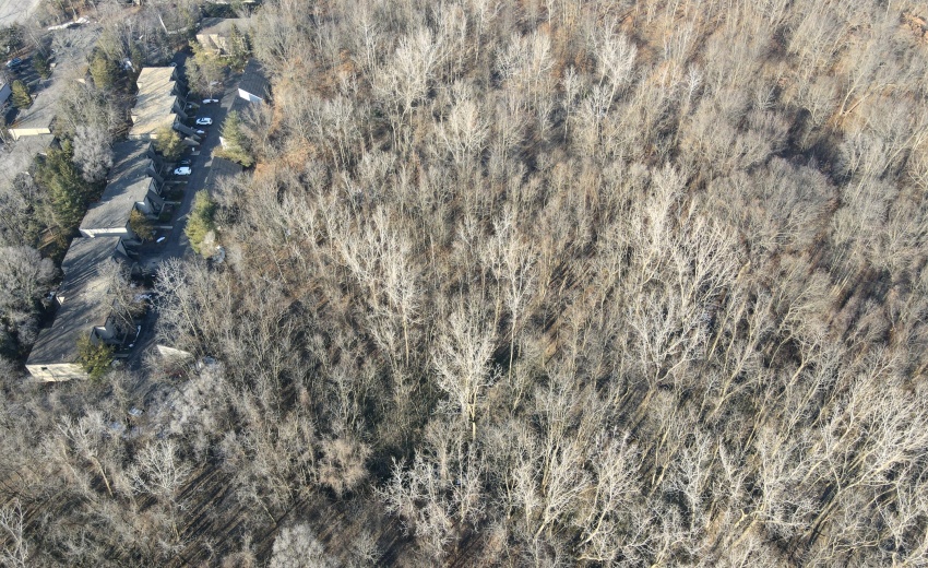 dji_fly_20240206_144622_326_170725241008