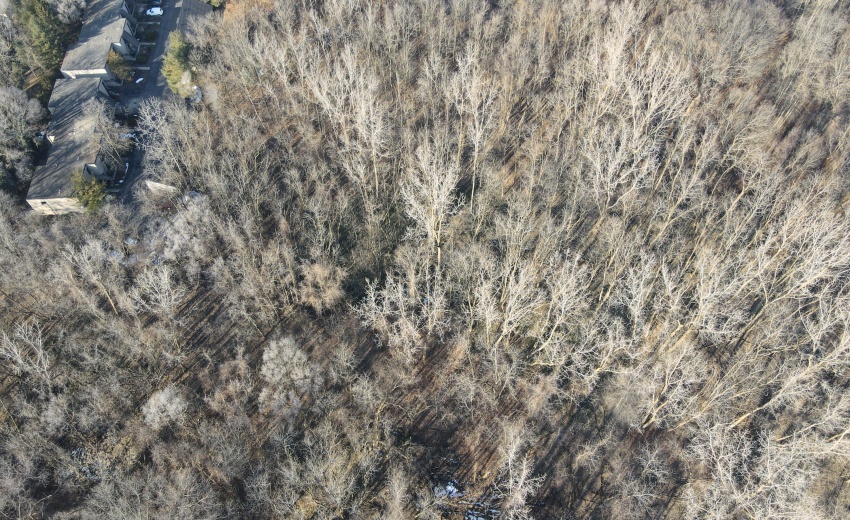 dji_fly_20240206_144530_324_170725235061