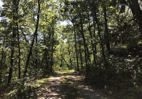 602 Beverly Drive, Beverly Shores, Indiana, ,Land,For Sale,Beverly,NRA530202