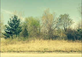 0 Springland Avenue, Michigan City, Indiana, ,Land,For Sale,Springland,NRA529316