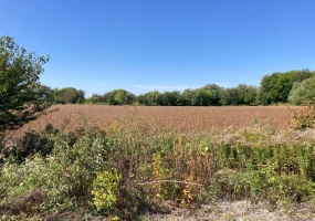 19202 Wicker Avenue, Lowell, Indiana, ,Land,For Sale,Wicker,NRA539642