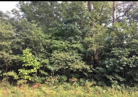 0-Lot 53 Pointer Lane, Wheatfield, Indiana, ,Land,For Sale,Pointer,NRA466023