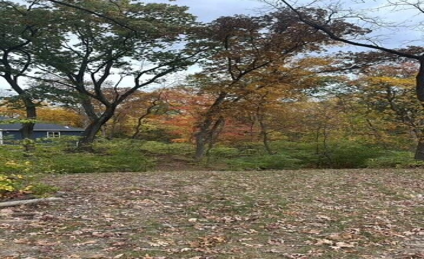 Lot 6