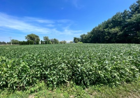 0-Lot 2 Owen Street, Rensselaer, Indiana, ,Land,For Sale,Owen,NRA534576