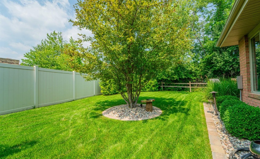 Privacy fence and trees.  Electric fence