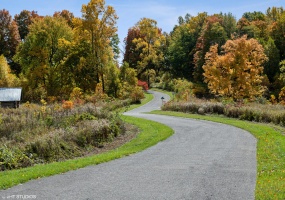 6863 Nature Lane, La Porte, Indiana, ,Land,For Sale,Nature,NRA807628