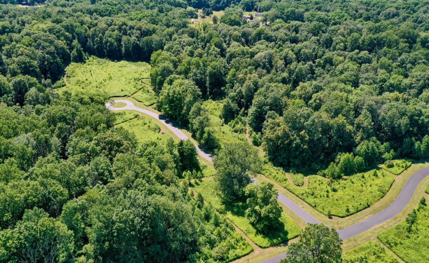 3-web-or-mls-DJI_0122