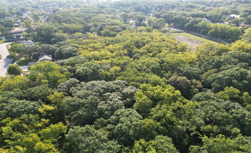 dji_fly_20240827_090156_385_172478375940