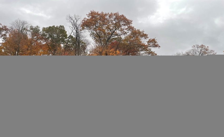 Concord Vineyard lot photo