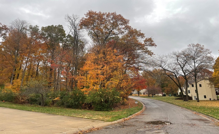 Concord Vineyard lot photo