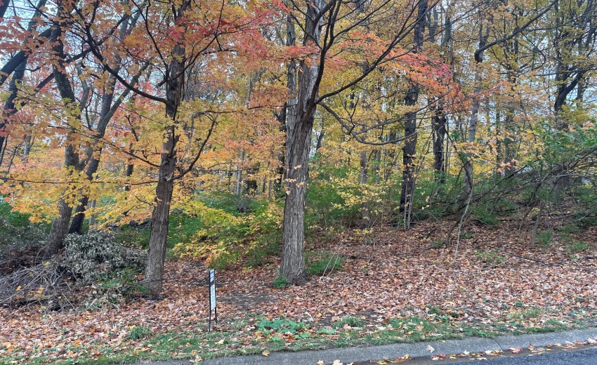 concord vineyard lot 6