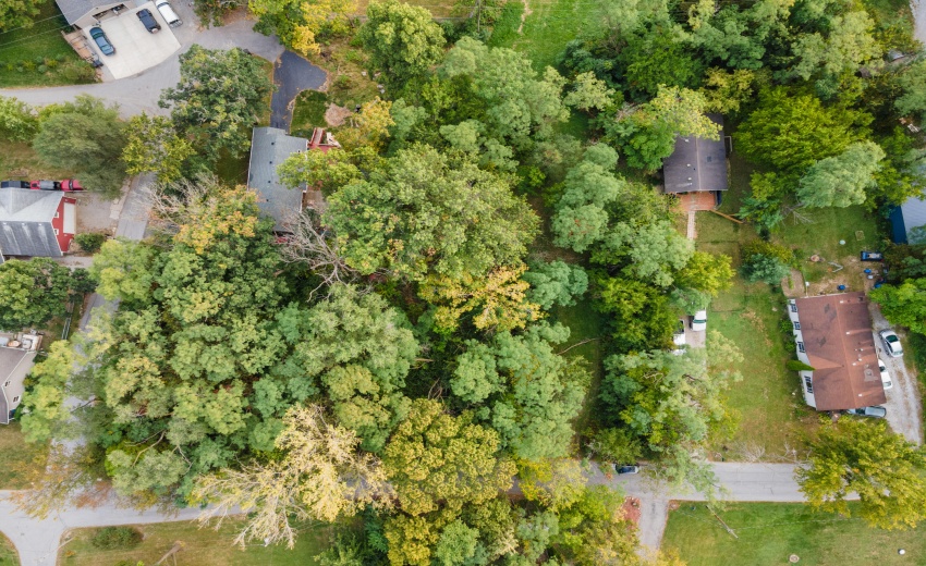 DJI_0420