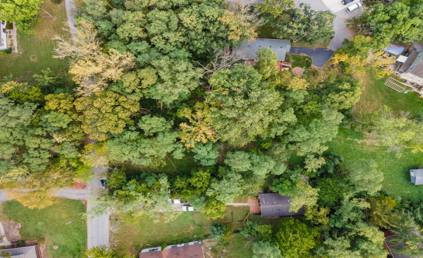DJI_0419