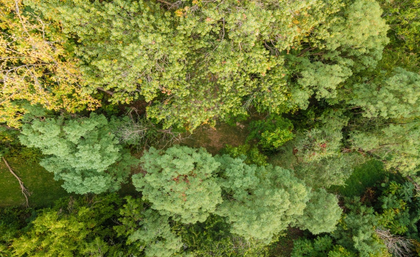 DJI_0418