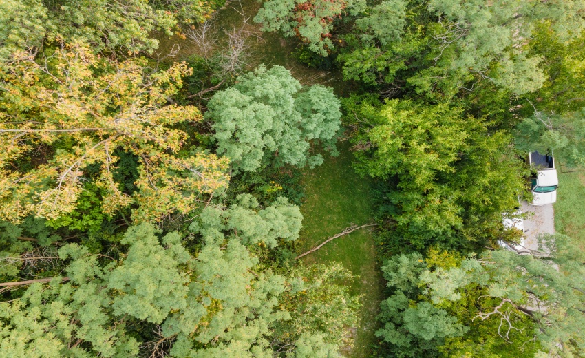 DJI_0417